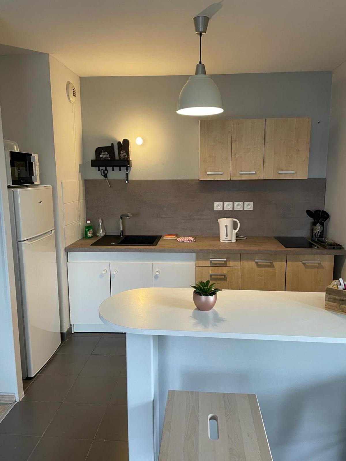 Appartement 2 Chambres Avec Terrasse Et Garage แซงต์อองเดร ภายนอก รูปภาพ